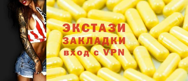 соль ск Новозыбков