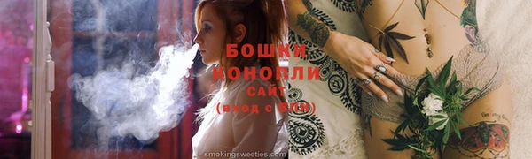 соль ск Новозыбков