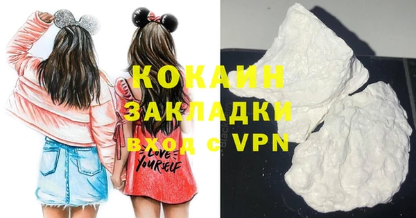 соль ск Новозыбков