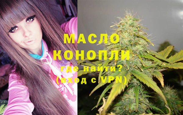 соль ск Новозыбков
