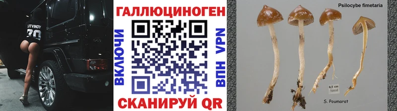 Купить  Апатиты  Галлюциногенные грибы Cubensis 